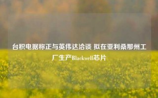 台积电据称正与英伟达洽谈 拟在亚利桑那州工厂生产Blackwell芯片