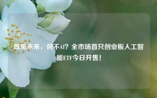 既见未来，何不AI？全市场首只创业板人工智能ETF今日开售！