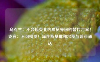 乌克兰：不会接受北约成员身份的替代方案！克宫：不可接受！泽连斯基批朔尔茨与普京通话