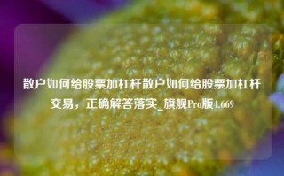 散户如何给股票加杠杆散户如何给股票加杠杆交易，正确解答落实_旗舰Pro版4.669