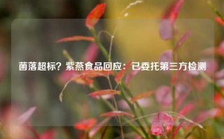 菌落超标？紫燕食品回应：已委托第三方检测