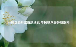 Sora概念股开盘继续活跃 华扬联众等多股涨停