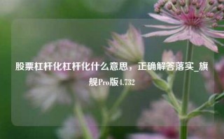 股票杠杆化杠杆化什么意思，正确解答落实_旗舰Pro版4.732