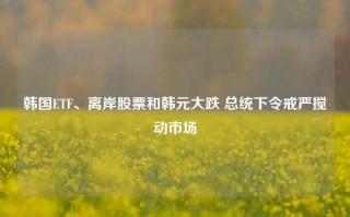 韩国ETF、离岸股票和韩元大跌 总统下令戒严搅动市场