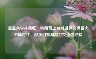 复旦大学林民旺：特朗普上台对世界充满巨大不确定性，但我们有与其打交道的经验