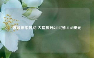 波音盘中异动 大幅拉升5.01%报161.65美元