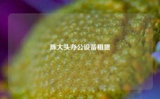 陈大头办公设备租赁