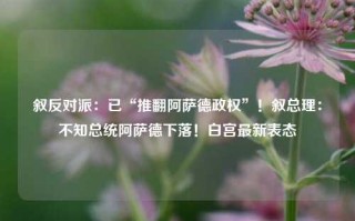 叙反对派：已“推翻阿萨德政权”！叙总理：不知总统阿萨德下落！白宫最新表态