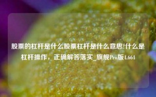 股票的杠杆是什么股票杠杆是什么意思?什么是杠杆操作，正确解答落实_旗舰Pro版4.664