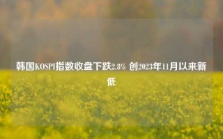 韩国KOSPI指数收盘下跌2.8% 创2023年11月以来新低