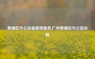 黄埔区办公设备租赁服务,广州黄埔区办公室出租