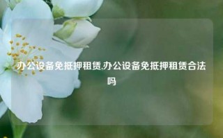 办公设备免抵押租赁,办公设备免抵押租赁合法吗