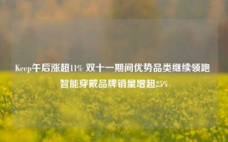 Keep午后涨超11% 双十一期间优势品类继续领跑 智能穿戴品牌销量增超25%