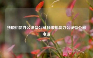 抚顺租赁办公设备公司,抚顺租赁办公设备公司电话