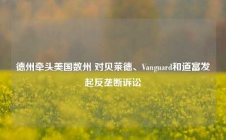 德州牵头美国数州 对贝莱德、Vanguard和道富发起反垄断诉讼