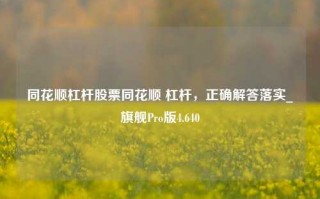 同花顺杠杆股票同花顺 杠杆，正确解答落实_旗舰Pro版4.640