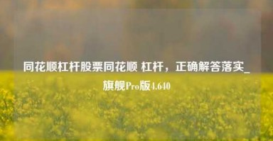 同花顺杠杆股票同花顺 杠杆，正确解答落实_旗舰Pro版4.640