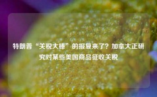 特朗普“关税大棒”的报复来了？加拿大正研究对某些美国商品征收关税