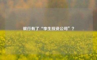 银行有了“孪生投资公司”？