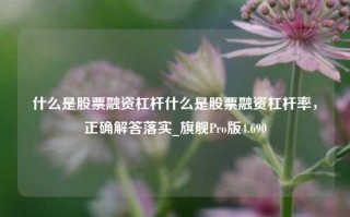 什么是股票融资杠杆什么是股票融资杠杆率，正确解答落实_旗舰Pro版4.690