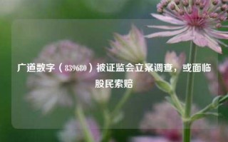 广道数字（839680）被证监会立案调查，或面临股民索赔