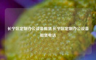 长宁区定制办公设备租赁,长宁区定制办公设备租赁电话