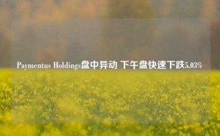 Paymentus Holdings盘中异动 下午盘快速下跌5.03%