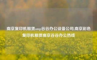 南京复印机租赁amp谷谷办公设备公司,南京彩色复印机租赁南京谷谷办公热线