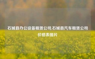 石城县办公设备租赁公司,石城县汽车租赁公司价格表图片