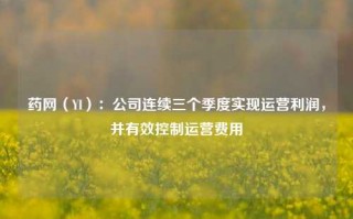 药网（YI）：公司连续三个季度实现运营利润，并有效控制运营费用