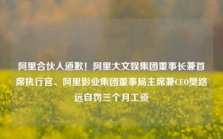 阿里合伙人道歉！阿里大文娱集团董事长兼首席执行官、阿里影业集团董事局主席兼CEO樊路远自罚三个月工资