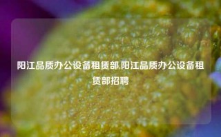 阳江品质办公设备租赁部,阳江品质办公设备租赁部招聘