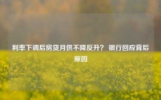 利率下调后房贷月供不降反升？ 银行回应背后原因