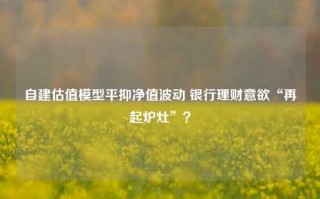 自建估值模型平抑净值波动 银行理财意欲“再起炉灶”？