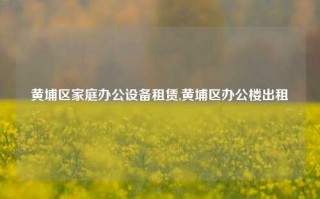 黄埔区家庭办公设备租赁,黄埔区办公楼出租