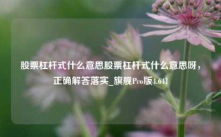 股票杠杆式什么意思股票杠杆式什么意思呀，正确解答落实_旗舰Pro版4.641