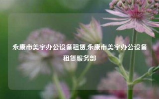 永康市美宇办公设备租赁,永康市美宇办公设备租赁服务部