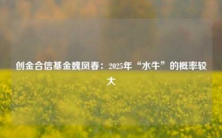 创金合信基金魏凤春：2025年“水牛”的概率较大