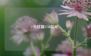 分红超1750亿元