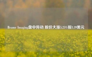 Beamr Imaging盘中异动 股价大涨5.25%报3.39美元