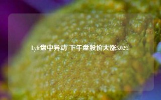 Lyft盘中异动 下午盘股价大涨5.02%