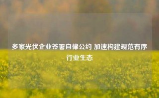 多家光伏企业签署自律公约 加速构建规范有序行业生态