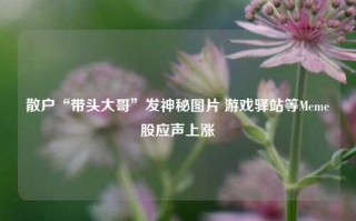 散户“带头大哥”发神秘图片 游戏驿站等Meme股应声上涨