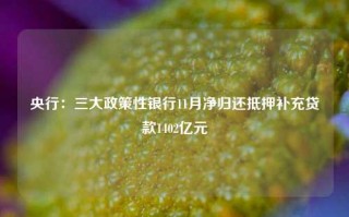 央行：三大政策性银行11月净归还抵押补充贷款1402亿元