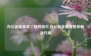 办公设备租赁二维码图片,办公设备租赁整体解决方案