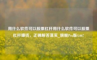 用什么软件可以股票杠杆用什么软件可以股票杠杆赚钱，正确解答落实_旗舰Pro版4.667