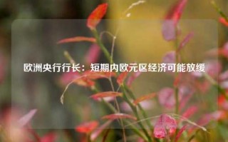 欧洲央行行长：短期内欧元区经济可能放缓