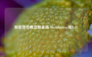 加密货币概念股走高 MicroStrategy涨8.4%