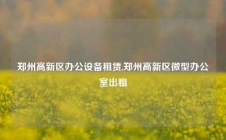 郑州高新区办公设备租赁,郑州高新区微型办公室出租