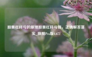 股票杠杆亏的原理股票杠杆亏损，正确解答落实_旗舰Pro版4.672